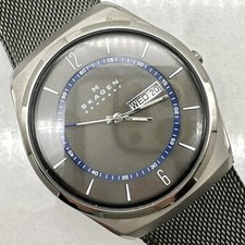 Skagen men aktiv for sale  Warren