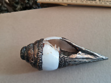 Tibetisches conch muschelhorn gebraucht kaufen  Kassel