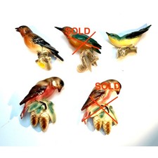Hertwig katzhutte bird for sale  CONSETT