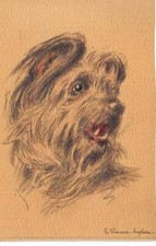 Animaux 77598 chien d'occasion  France