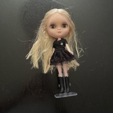 Angela petit tom for sale  Birdsboro