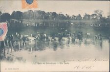 BRASIL São Paulo Gado no Bebedouro 1900s litho PC, usado comprar usado  Enviando para Brazil