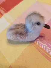 Steiff küken entchen gebraucht kaufen  Gadebusch-Umland