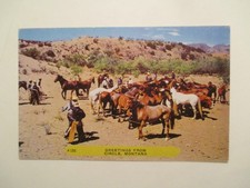 Cartão postal Circle Montana Cowboys Horses Round Up perfeito estado comprar usado Cartão postal Circle Montana Cowboys Horses Round Up perfeito estado comprar usado  Enviando para Brazil