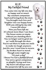 Bichon frise gift for sale  YATELEY