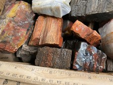 Petrified wood rough for sale  Clovis