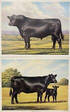 Artist murphy 1983 for sale  Middletown