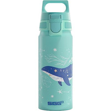 Sigg water world usato  Roccagloriosa