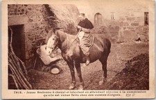 Jeune bretonne cheval d'occasion  France