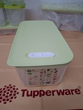 Ventsmart tupperware 6.1l.nuov usato Ventsmart tupperware 6.1l.nuov usato  Viggiano