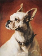 Arte dos sonhos pintura a óleo lindo e bonito animal de estimação cachorro sentado arte pintada à mão comprar usado Arte dos sonhos pintura a óleo lindo e bonito animal de estimação cachorro sentado arte pintada à mão comprar usado  Enviando para Brazil
