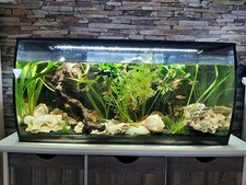 Fluval aquarium 120 gebraucht kaufen  Taunusstein