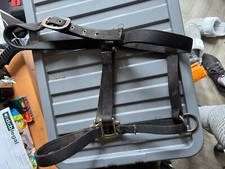 Head collar lead for sale  MAIDSTONE