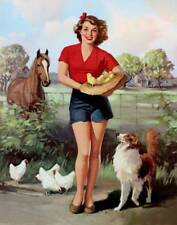 Farm girl chickens for sale  Ahsahka