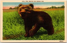 Postcard animal bear for sale  Buffalo Grove