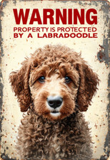 Warning labradoodle security for sale  DUNSTABLE