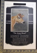1925 american jersey for sale  Branch