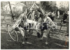 1956 bologna nazionali usato  Milano