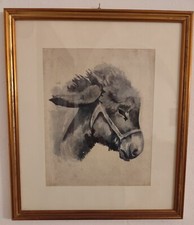 Stupendo aquarello asino usato  Desenzano del Garda