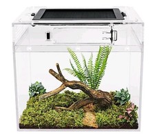 Reptile growth mini for sale  TAMWORTH