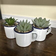 Succulent faux cactus for sale  NEWPORT