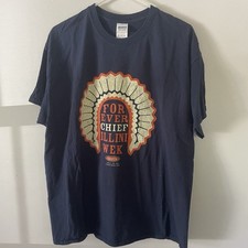 Illinois fighting illini for sale  Mount Prospect