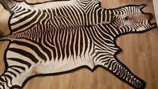 Echtes hartmann bergzebrafell gebraucht kaufen  Nürnberg