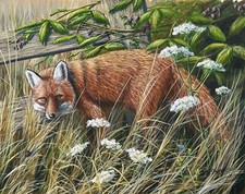 Contemporary wildlife painting for sale  NORWICH
