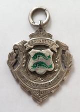 brighton watches for sale  BRIGHTON