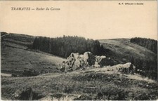 Old postcard tramayes d'occasion  Expédié en Belgium