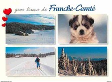 Animaux chiens husky d'occasion  Fruges