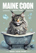 Maine coon bath for sale  DUNSTABLE
