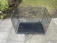 Vital dog puppy for sale  ASHTEAD