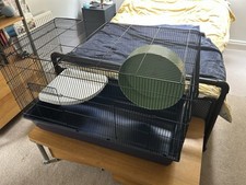 Medium sized pet for sale  ROSSENDALE