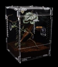 Tss arboreal acrylic for sale  GREAT YARMOUTH
