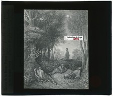 Gesù, Giardino Oliva, Bibbia Dorato, Disegno, Placca Di Lente, Positivo 8,5x10) comprar usado  Enviando para Brazil