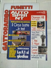 Autosprint n.22 damon usato  Papiano