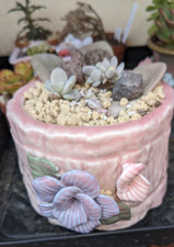12x10cm somptueux pot d'occasion  Cagnes-sur-Mer