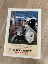 Affiche black and d'occasion  Lille-