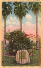 Postcard riverside parent for sale  Midlothian