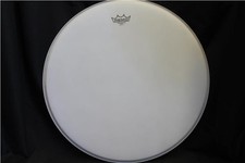 Remo 1122 ambassador for sale  DULVERTON