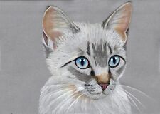 Original color pencil for sale  SOUTHSEA