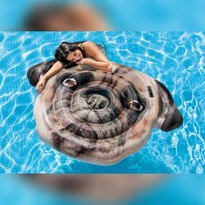 Carlino pug face usato  Italia