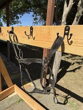 Draft leather halter for sale  Biggs