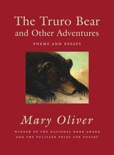 Truro bear adventures for sale  San Jose