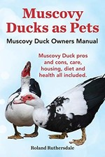 Muscovy ducks pets for sale  ROSSENDALE