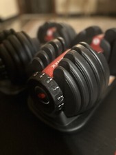 Dumbbells bowflex selecttech usato  Zoagli
