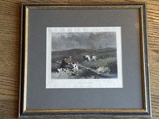 rabbit hunting dogs for sale rabbit hunting dogs for sale Fairfield