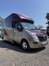 Hayling stallion stalled for sale  HENLEY-IN-ARDEN