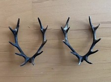 Geweihe kuckucksuhr kunststoff gebraucht kaufen  Triberg im Schwarzwald